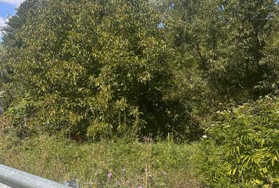 TEREN INTRAVILAN - 2500 MP - Valea Mare- Podgoria - 9