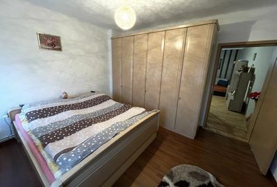 Casa cu doua apartamente si curte zona Turnisor - 4