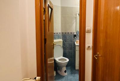 Locatie exceptionala,DECEBAL ,stradal,monolit,bloc reabilitat termic,liber - 12