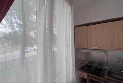 Ap 3 cam. de închiriat, Splaiul Crișanei-AP1529 - 6