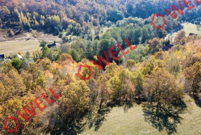 Teren extravilan de 3.500 m² de vânzare în Bodvaj! - 2