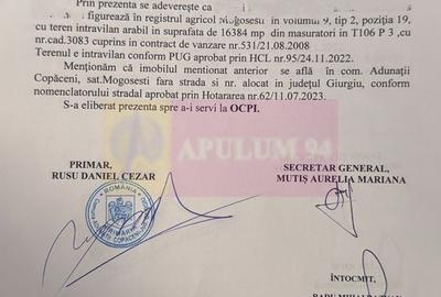 Teren 16.300 mp Mogoșești, investiție și parcelare | Adunatii Copaceni - 8