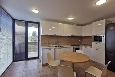 Primaverii exclusivist 3 camere, 3 bai, supr totala 240mp - 14