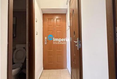 Apartament 1 camera Pacurari Pentru Poni - 3