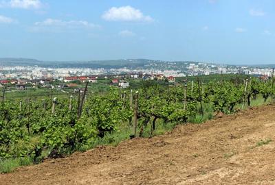 Teren de vanzare,  la 1,3km de LIDL Bucium, vecinatate cartier Panoramic - 8