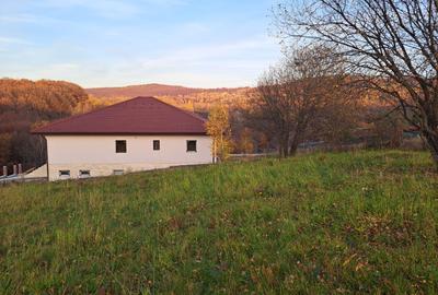 Teren Construcții intravilan de 1000 mp, în Făget