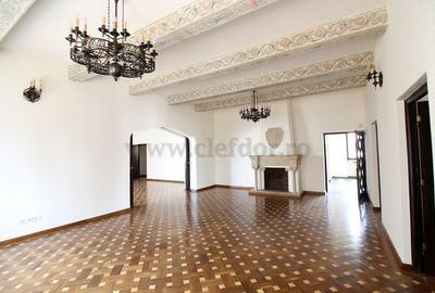 Dorobanti - Capitale - vila cu 29 camere de inchiriat/vanzare - 22