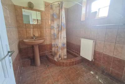 2 Apartamente la casa pivnita garaj in Cisnadie - 8
