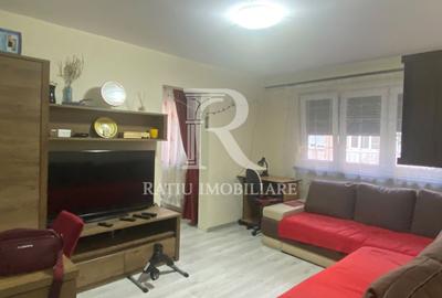Apartament cu 2 camere nedecomandat, mobilat în Iosia
