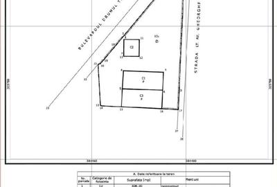 COTROCENI, CASA+TEREN PRETABIL PENTRU DEZVOLTARE IMOBILIARA - URBANISM VALABIL - 3