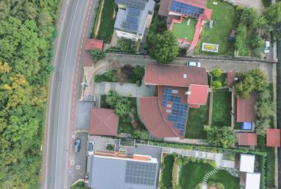 Reprezentare exclusivă · Casa dintre magnolii, Făget · 1.343 mp lângă pădure - 36