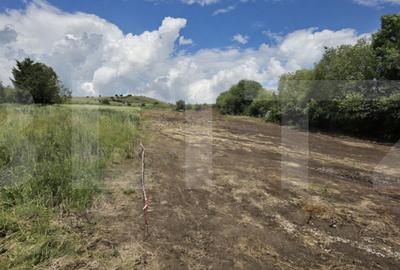 Teren Construcții intravilan de 2700 mp, în Rediu