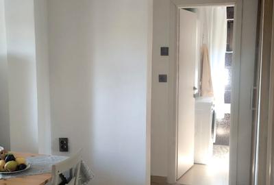 Constantin Brancoveanu-strada Radului-apartament 2 camere - 5