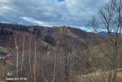 Teren, Zona de Interes Turistic-Cheile Gradistei,  8800mp - 8