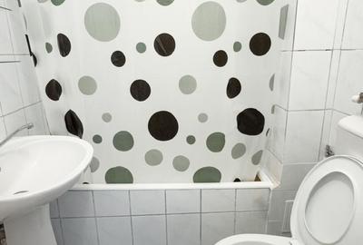 Apartament 1 cameră de închiriat cu centrală în Port langa Facultatea de Medicin - 10