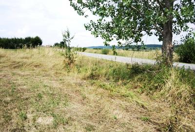 Teren intravilan cu acces asfaltat, situat între Săliște și Sibiel, la 300 m de - 6