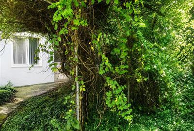 Proprietate cu teren 2.826 mp, 2 corpuri de casa, 9 camere, 3 bai, 2 garaje, pot - 1