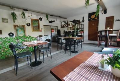 Restaurant, Delfinului, parc Ostrov - 9