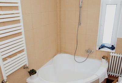 Inchiriere apartament 2 camere, Cismigiu-Luigi Cazzavillan - 20