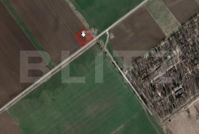 Teren Construcții intravilan de 3000 mp, în Bartolomeu