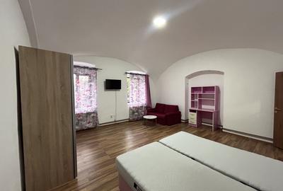 Apartament 1 camera central de inchiriat - 2
