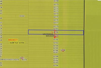 Teren extravilan 12.167 mp in Branesti, Ilfov, deschidere 27 m - 2