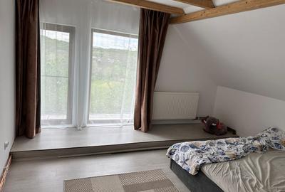 Casă renovată premium, Drajna de Sus, Prahova 3029 mp - 14