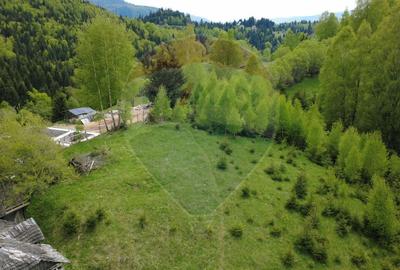 Teren Construcții intravilan de 3821 mp, în Dâmbovicioara