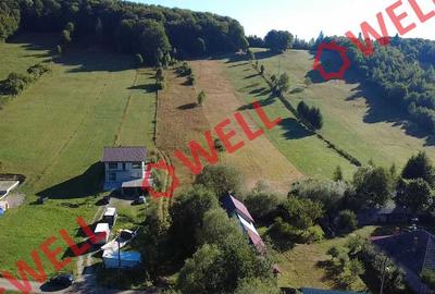 Teren agricol extravilan de 5800 mp, în Central
