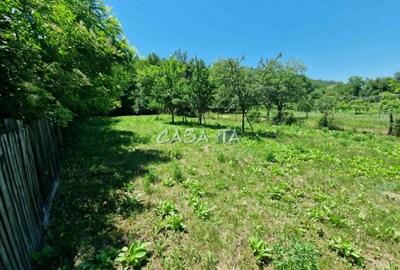Casa situata in orasul Targu-Carbunesti , Sat Ștefanesti - 14
