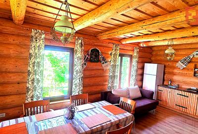 Cabana cu 7 camere de vanzare in Albac - V10073 - 34