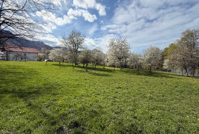 Teren intravilan 1355 mp in zona Bran, judetul Brasov - 3