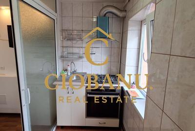 Apartament etaj 1/4 cu 2 camere zona Brazda de inchiriat - 10