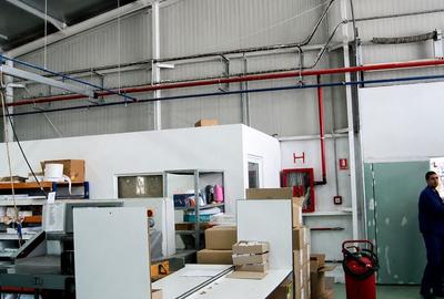 Str. Zizinului (Sacele) - Complex Industrial - 10