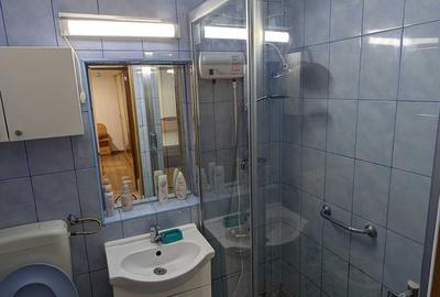 Vanzare apartament 3 camere Dristor - 6