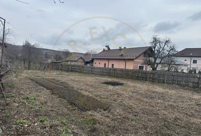 Teren intravilan 1 304 mp - Calinesti- Gorganu-Arges! - 1
