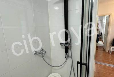 Apt. 2 cam. Titan,Str. Postavarul 3, renovat,10 minute metrou Nicolae Grigorescu - 29