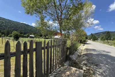 Teren Construcții intravilan de 2802 mp, în Borca
