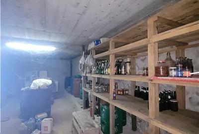 Constructie plus Teren Intravilan 2500 mp - Lazu - 17
