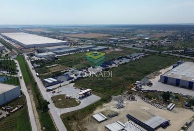 Teren - A1 -  KM 23 - Bolintin Deal - 30.868 mp - 4