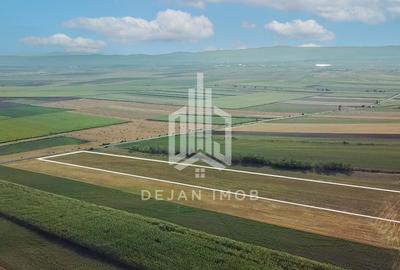 Teren extravilan | 19.000 mp | Ghidfalău - 9