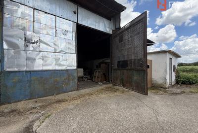 Depozit de vanzare cu suprafata utila de 450 mp - Ortisoara - 1