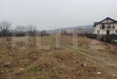 Teren Construcții intravilan de 8550 mp, în Vest