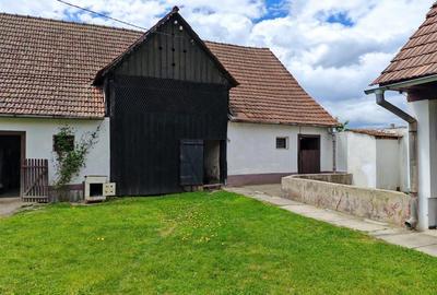 Gospodarie de vanzare in Voila - 6