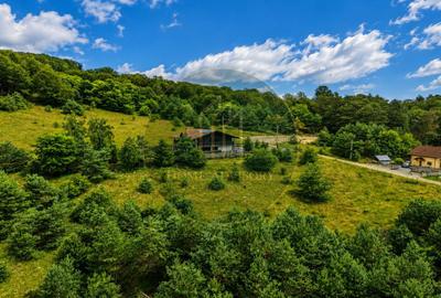 Refugiu în inima naturii | Proprietate premium în Pădurea Bogății - 3