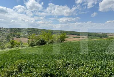 Teren agricol extravilan de 6800 mp, în Exterior Sud