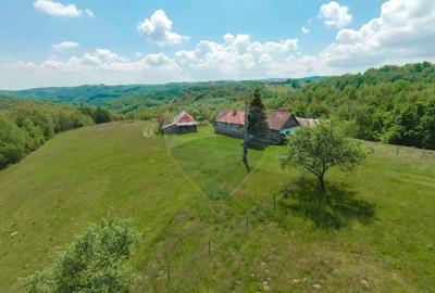 De vânzare casă cu teren și pădure 55706 mp - Șinteu, Valea Târnei