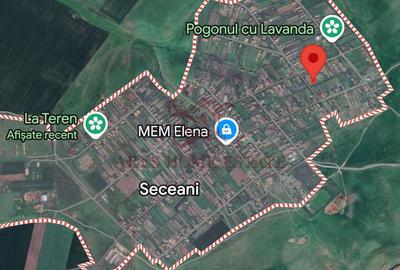 Teren Construcții intravilan de 4393 mp, în Seceani