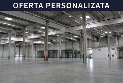 Spațiu industrial, de 10,000.00 mp, în Exterior Vest
