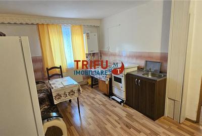 Apartament cu 2 camere nedecomandat, mobilat în Cetate